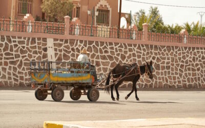 Vorrei raccontarti una storia accaduta molto tempo fa.