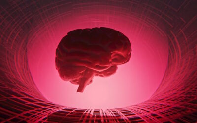 1. Hai mai visto il tuo Avversario?