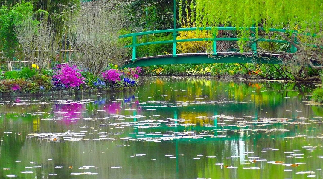 QUAL E’ LA TUA STRADA?