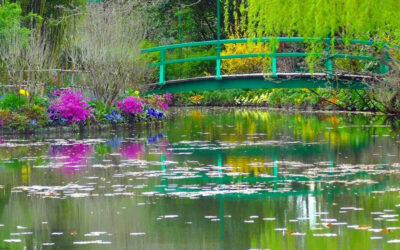 QUAL E’ LA TUA STRADA?