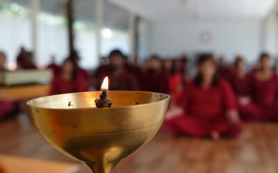 Il potere delle parole…