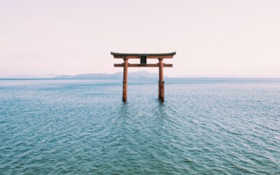 LA PRATICA DEL SE’ OSSERVANTE