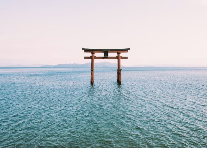 LA PRATICA DEL SE’ OSSERVANTE