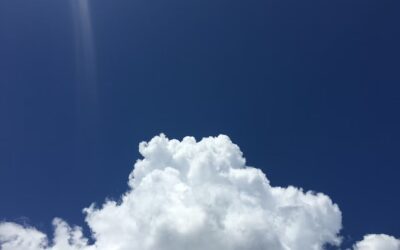 IL VERO DESIDERIO DA ESAUDIRE!