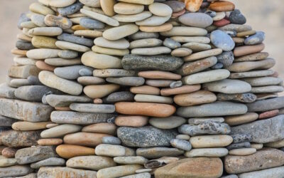 I PENSIERI SONO PRINCIPI VIVENTI