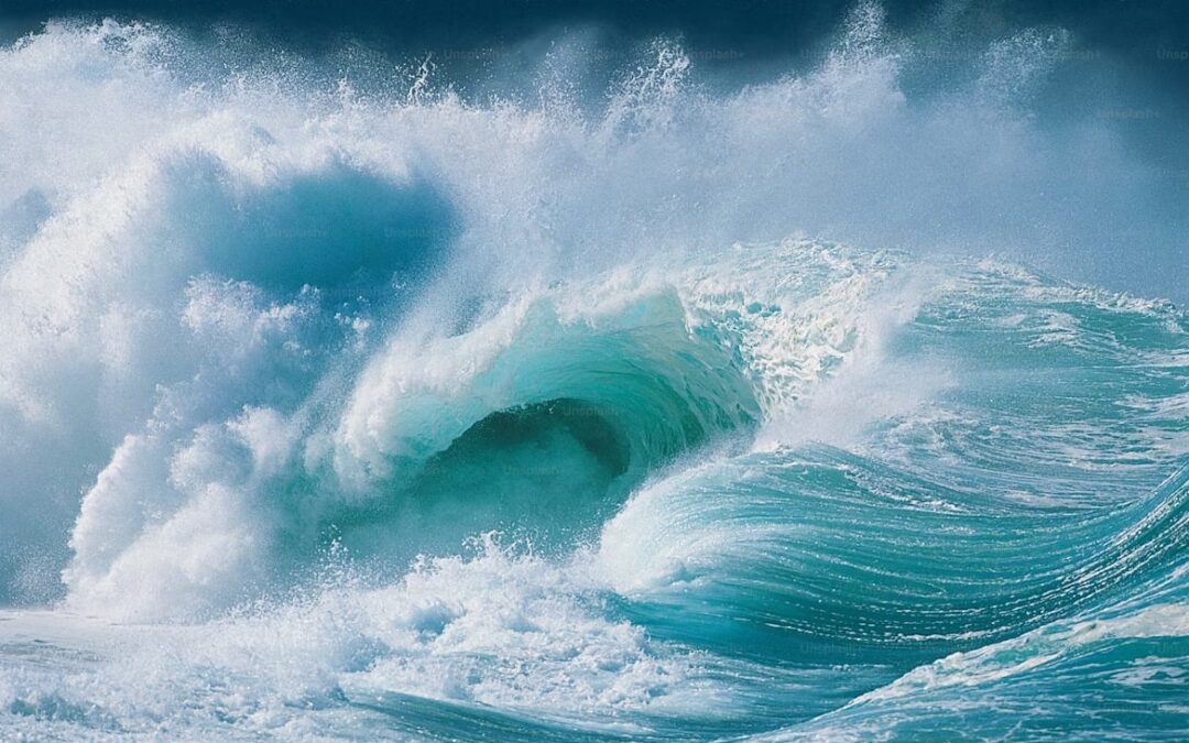 LA FORZA CHE NON CHIEDE