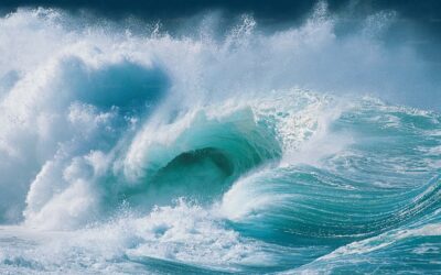 LA FORZA CHE NON CHIEDE