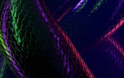 UN POTERE POTENTE: LA SESSUALITA’