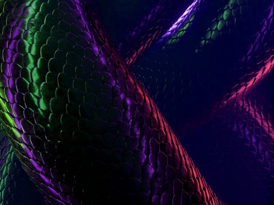 UN POTERE POTENTE: LA SESSUALITA’