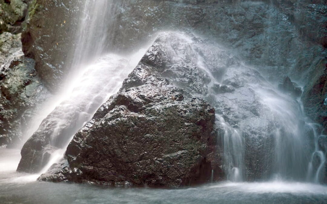 Essere integri significa…