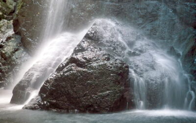 Essere integri significa…