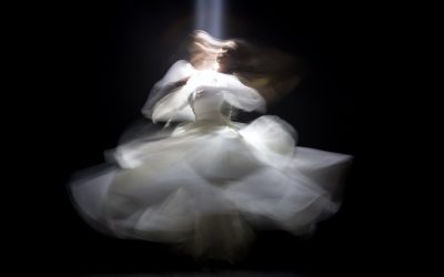 L’ANIMA E’ ALLA RICERCA DELLA CONTROVERSIA