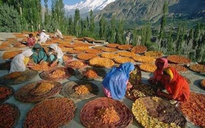 Gli Hunza, la popolazione più longeva del mondo.