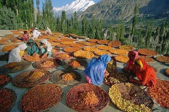 Gli Hunza, la popolazione più longeva del mondo.