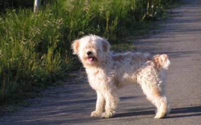 Nulla è per caso… nulla!!!