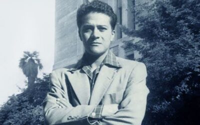 Il mondo della percezione