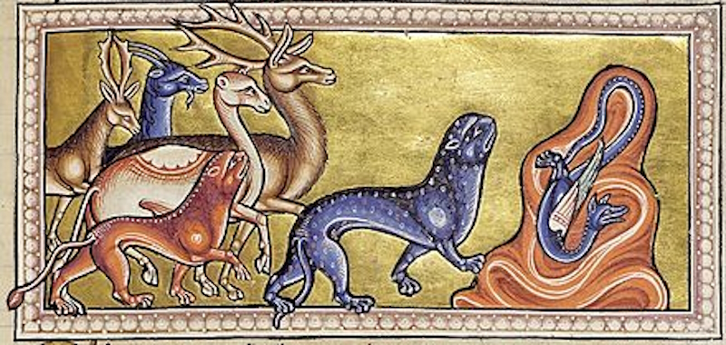 Animali e Alchimia