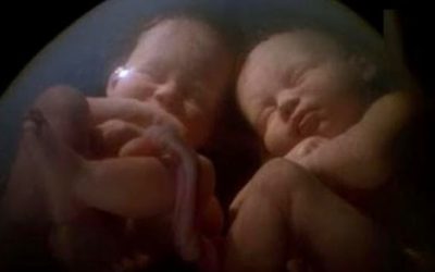 Tu credi nella vita oltre… il parto?