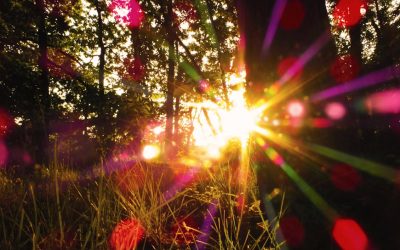 21 Giugno – Solstizio d’Estate – Il Trionfo della Luce