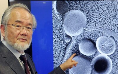 YOSHINORI OHSUMI – AUTOFAGIA E DIGIUNO